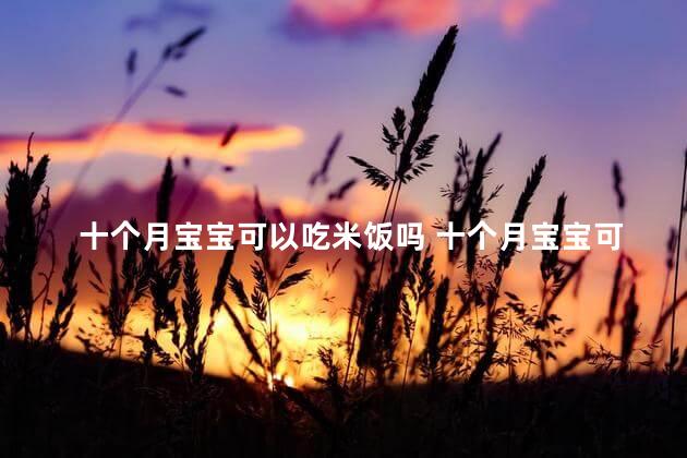 十个月宝宝可以吃米饭吗 十个月宝宝可以喝柠檬水吗